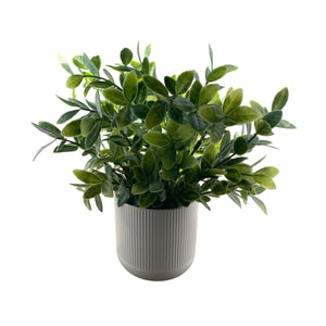 Medium Artificial Plant with White Pot