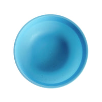 Blue Plastic Bowl