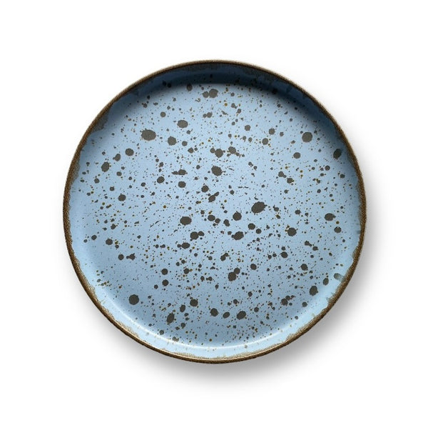 Blue Speckled Plate