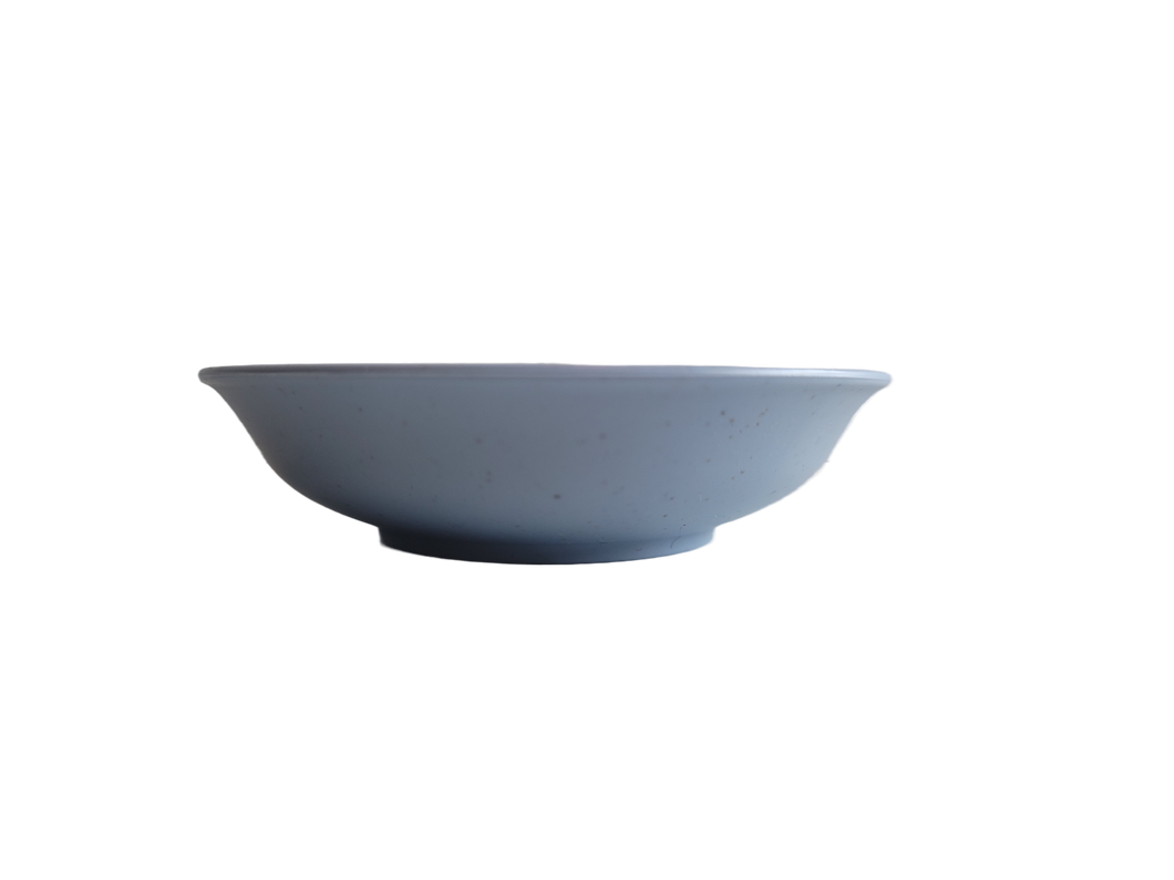 Blue Small Plastic Bowl