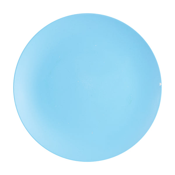 Lg Light Blue Matte Plate