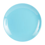 Lg Light Blue Plate