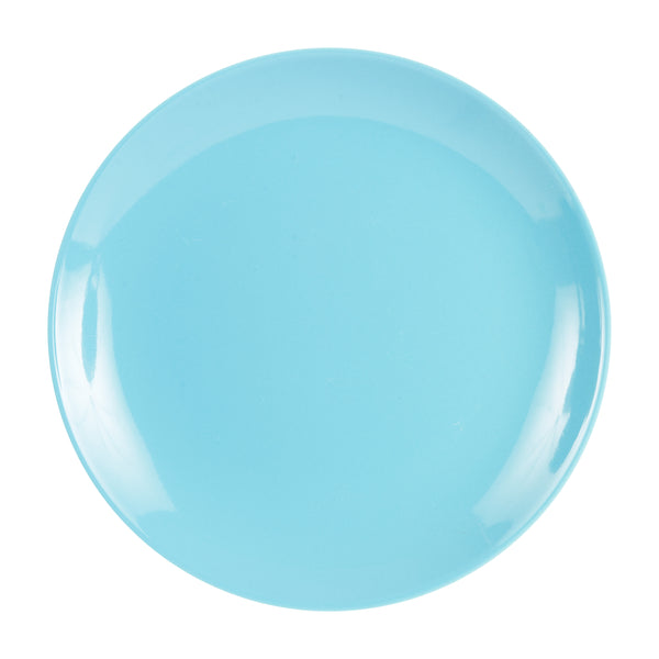 Lg Light Blue Plate