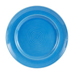 Lg Blue Ringed Plate