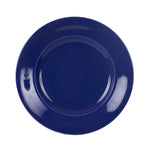 Lg Dark Blue Plate