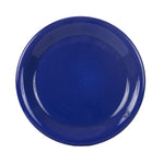 Lg Dark Blue Plate