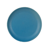 Lg Blue Speckled Plate