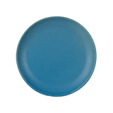 Lg Blue Speckled Plate