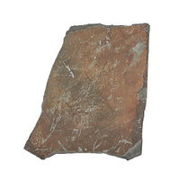 Sm Stone Slab