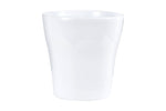 Md White Flower Pot